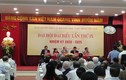Đảng bộ LHH Việt Nam Đại hội đại biểu lần thứ IX nhiệm kỳ 2020 - 2025