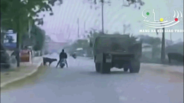 Video: Phanh cháy lốp, tài xế cứu mạng anh thanh niên ngã trước đầu xe