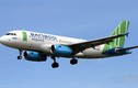Máy bay của Bamboo Airways va phải chim, nhiều chuyến bay bị hủy