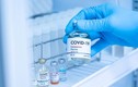Trong quỹ vắc xin phòng dịch COVID-19 có 1 cá nhân chuyển 5 tỷ đồng 