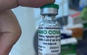 Đang xem xét cấp phép cho 2 loại vắc xin COVID-19 trong nước và nhập khẩu