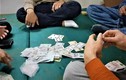 Hai hiệu trưởng đánh bạc ở Thanh Hóa: Có xử lý hình sự?