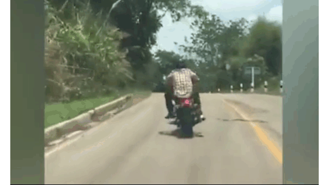 Video: Sốc cảnh rắn độc phi thân, tấn công người đàn ông đi xe máy