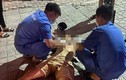 Khởi tố vụ nam thanh niên bị đâm chết trên phố Hà Nội