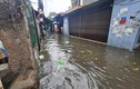 Hà Nội: Mưa lớn khiến nhiều tuyến phố ngập, cây đổ đè ô tô