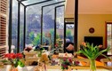 Phòng khách mái kính ngập tràn nắng của người phụ nữ Việt ở Úc