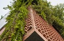 Ngôi nhà tràn đầy sinh khí với 'khu rừng nhiệt đới' trên sân thượng