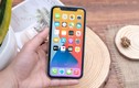 Giá giảm sâu, có nên mua iPhone 11?