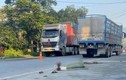 Tuyên Quang: Nằm dưới gầm sửa xe, người đàn ông bị chèn tử vong