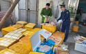 Hà Nội: Phát hiện trên 1 tấn thực phẩm bẩn trong kho lạnh giữa cánh đồng