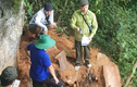 Công an tỉnh Lai Châu  tăng cường công tác quản lý, bảo vệ rừng