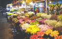 Chợ hoa lớn nhất miền Bắc sẽ thành điểm du lịch đêm