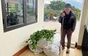 Lào Cai: Bắt giữ cụ ông 82 tuổi trồng hơn 750 cây thuốc phiện