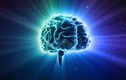 10 quan niệm sai lầm về bộ não con người