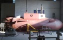 Cận cảnh tàu ngầm “Made in Việt Nam” gây nhiều tranh cãi?