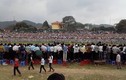 60.000 người chen nhau xem hội chọi trâu Hàm Yên 2015
