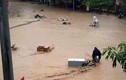 Lũ nhấn chìm 211 nhà ở Điện Biên, thiệt hại 111 tỷ