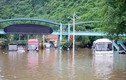 Mưa lớn ở Quảng Ninh: Ngập lụt nhiều nơi, một người mất tích