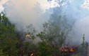 Cháy rừng dữ dội ở Hạ Long: Chưa rõ nguyên nhân