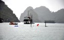 Quảng Ninh: Đắm tàu chở dầu, cứu được hai thuyền viên