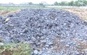 Phát hiện chất thải công nghiệp chôn trái phép trong KCN Bảo Minh