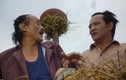 Xuân về cười “vỡ bụng” ở làng nói khoác nổi tiếng Việt Nam