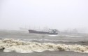 Thiệt hại “khủng khiếp” bão Damrey: 47 người chết, mất tích, 40 000 nhà tốc mái