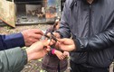 Nổ lớn ở Bắc Ninh: Điều tra việc “mua phế liệu từ Trung tâm xử lý bom mìn”