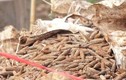 Hưng Yên: Hoàn tất di dời 6 tấn đầu đạn trong bãi phế liệu