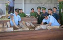 Phó Thủ tướng giao Bộ Công an khẩn trương điều tra vụ 9,1 tấn ngà voi nhập lậu