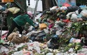Tạm dừng bãi rác Nam Sơn: Hà Nội ô nhiễm.. sẽ hôi thối mức nào?