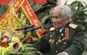 Chân dung vị tướng 94 tuổi vừa nhận danh hiệu Anh hùng LLVTND