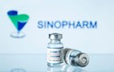4 nhóm ưu tiên đăng ký tiêm vắc xin Sinopharm ở Hải Dương