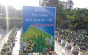 Bất thường dự án trồng cây nha đam của Cty Biobee Việt Pháp