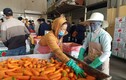 Điều đặc biệt lễ hội cà rốt lần đầu tiên được tổ chức tại Hải Dương
