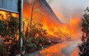 Hải Dương: Cháy lớn tại Công ty Hồng Ngọc và Liên Hưng Phát