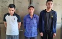 Điều tra một số nhân viên Công ty Ford Việt Nam dùng bằng giả