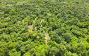 Làm hồ chứa nước trên 600 ha rừng, người Bình Thuận hưởng lợi gì?