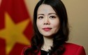 Chân dung tân Thứ trưởng Bộ Ngoại giao Nguyễn Minh Hằng 