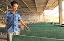 Anh nông dân Hải Dương khởi nghiệp với nghề sản xuất bàn ghế đá granito