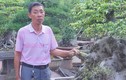 Một nông dân Nam Định xây nhà cao cửa rộng nhờ trồng cây cảnh
