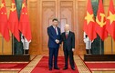 Tổng Bí thư Nguyễn Phú Trọng: “Việt Nam coi phát triển quan hệ với Trung Quốc là ưu tiên hàng đầu”