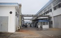 Quảng Ninh: Công bố nguyên nhân 61 công nhân VEGA BALLS ngộ độc khí