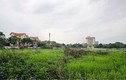 Cận cảnh “đất vàng” dự án Khách sạn, chung cư, Hải Dương đang đấu giá 