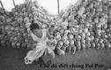 Khmer đỏ - Chế độ tàn ác nhất trong lịch sử loài người