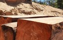 Kon Tum: Phát hiện lượng lớn gỗ lậu chôn giấu dưới cát