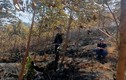 Kon Tum: 2 người tử vong trong vụ cháy rừng bạch đàn