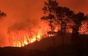 Diễn biến mới nhất vụ cháy rừng ở Nghệ An