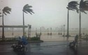 Hình ảnh bão số 11 tàn phá Đà Nẵng - Quảng Nam