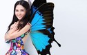 Hoa hậu Sonya Sương Đặng gợi cảm với thời trang cánh bướm